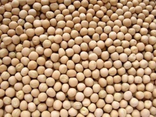 White peas